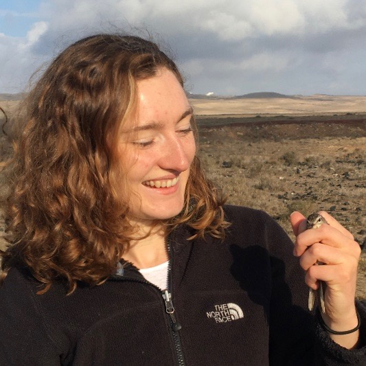 Pipit PhD