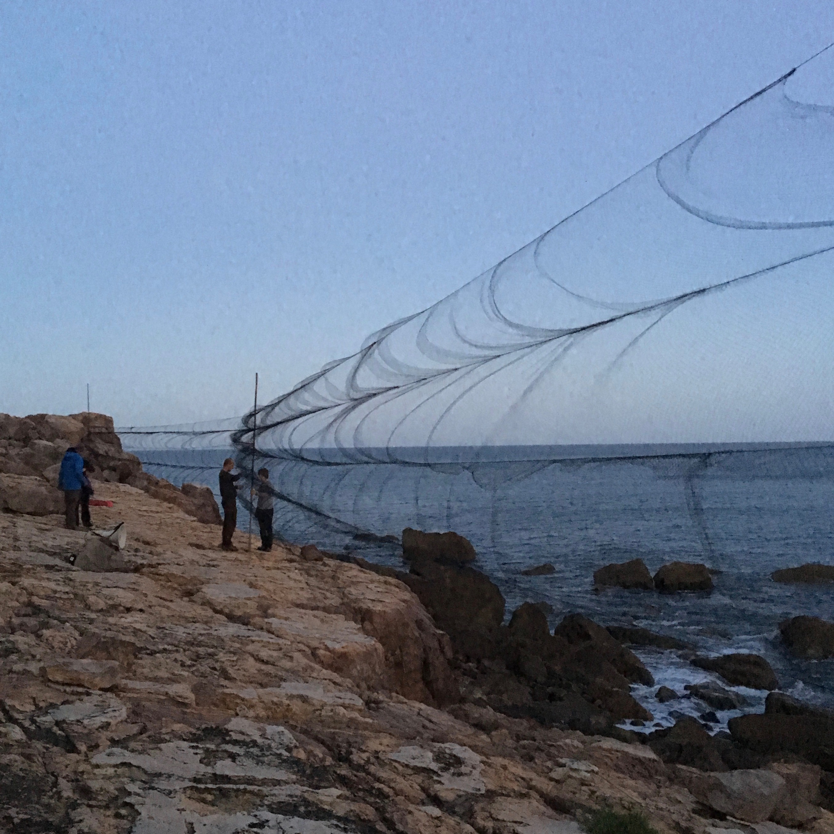 Stromy netting